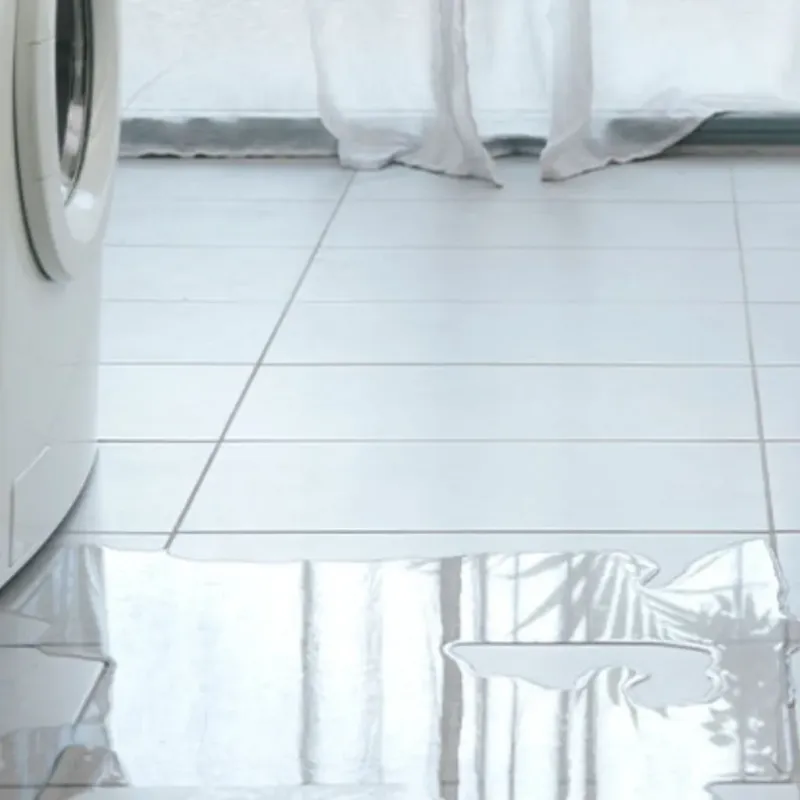 Appliance Leak Cleanup in Williamston, MI