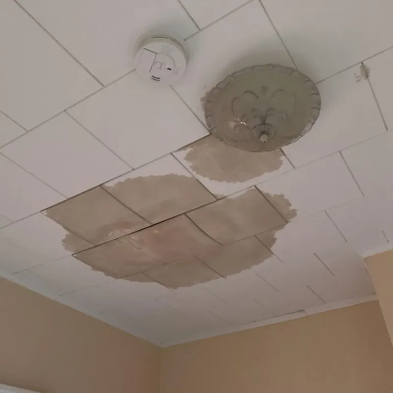 Ceiling Water Damage Repair in Williamston, MI