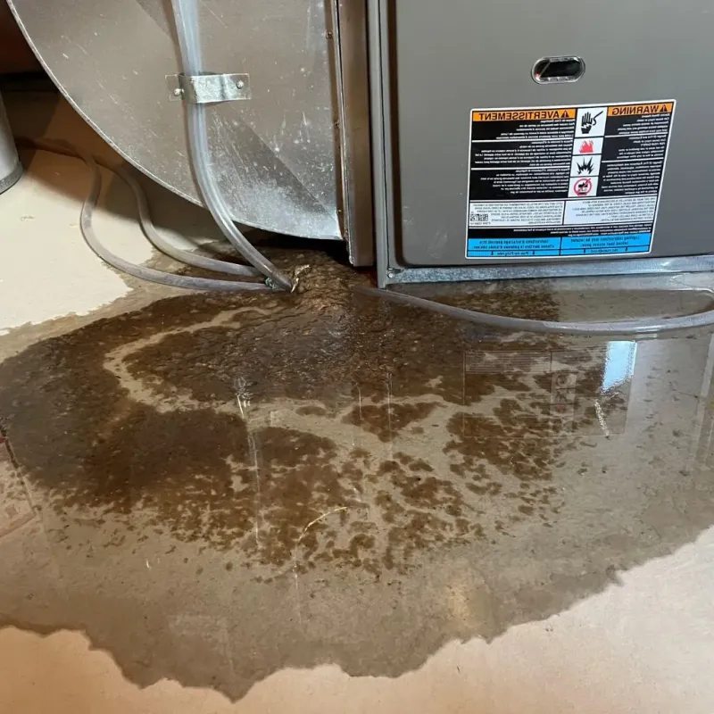 Pipe Burst and Leak Restoration in Williamston, MI