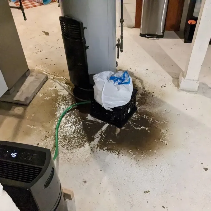 Sewage Backup Cleanup Service in Williamston, MI